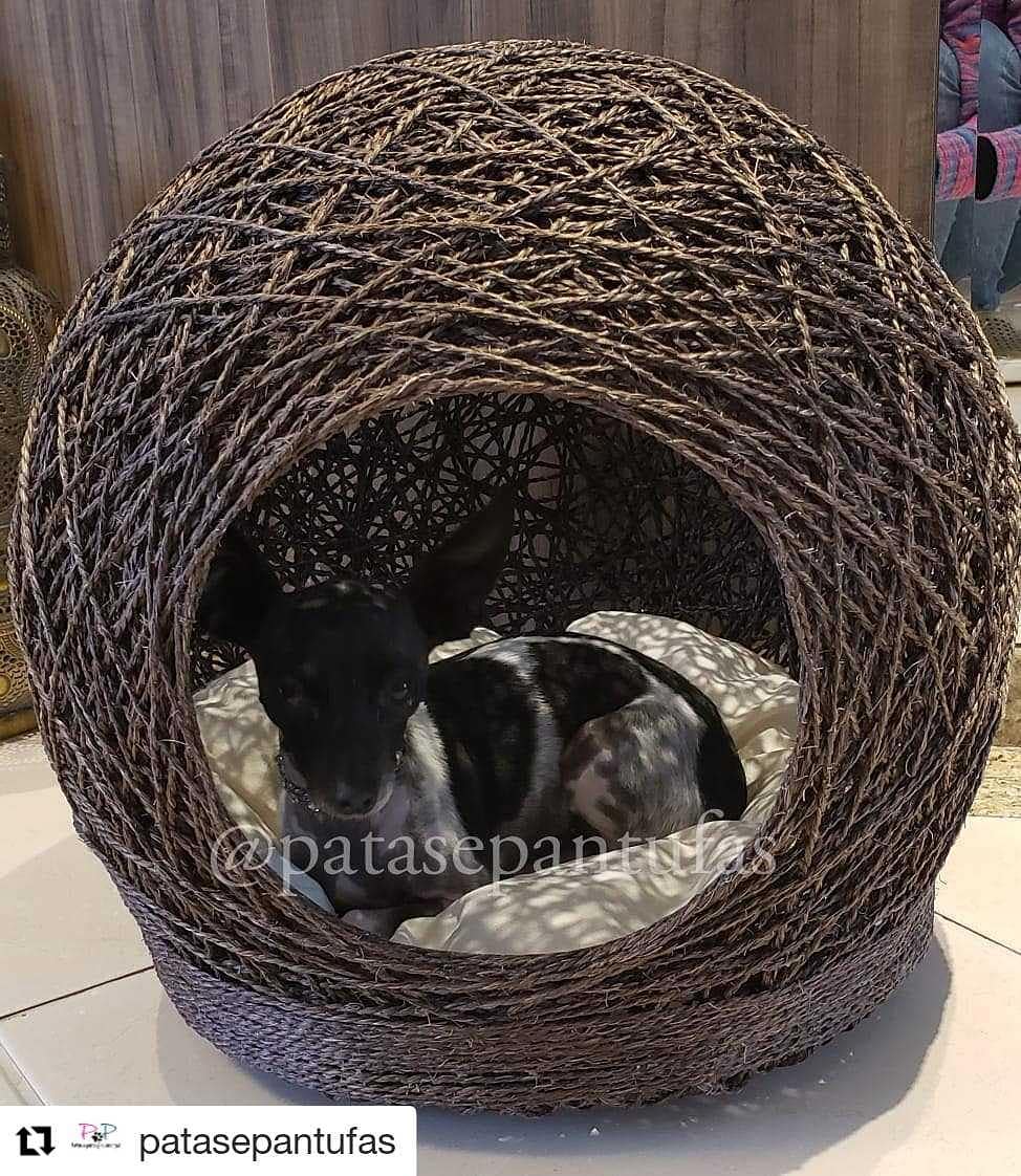 Cachorro pequeno descansando dentro de toca artesanal de sisal