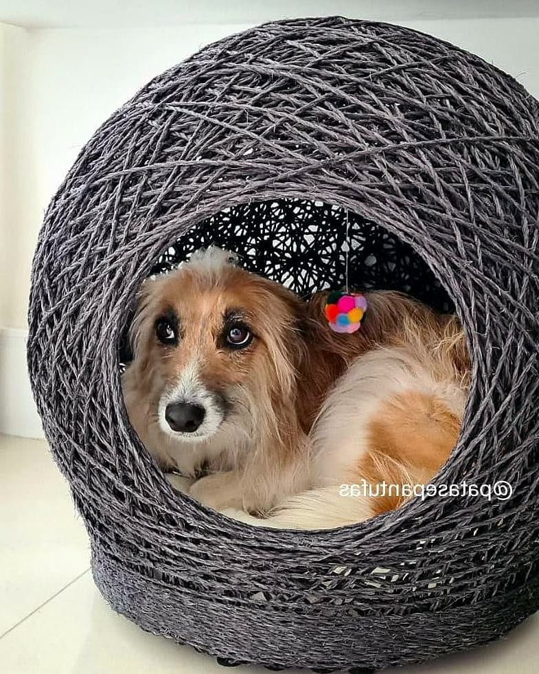 Cachorro pequeno confortável dentro de toca artesanal de sisal