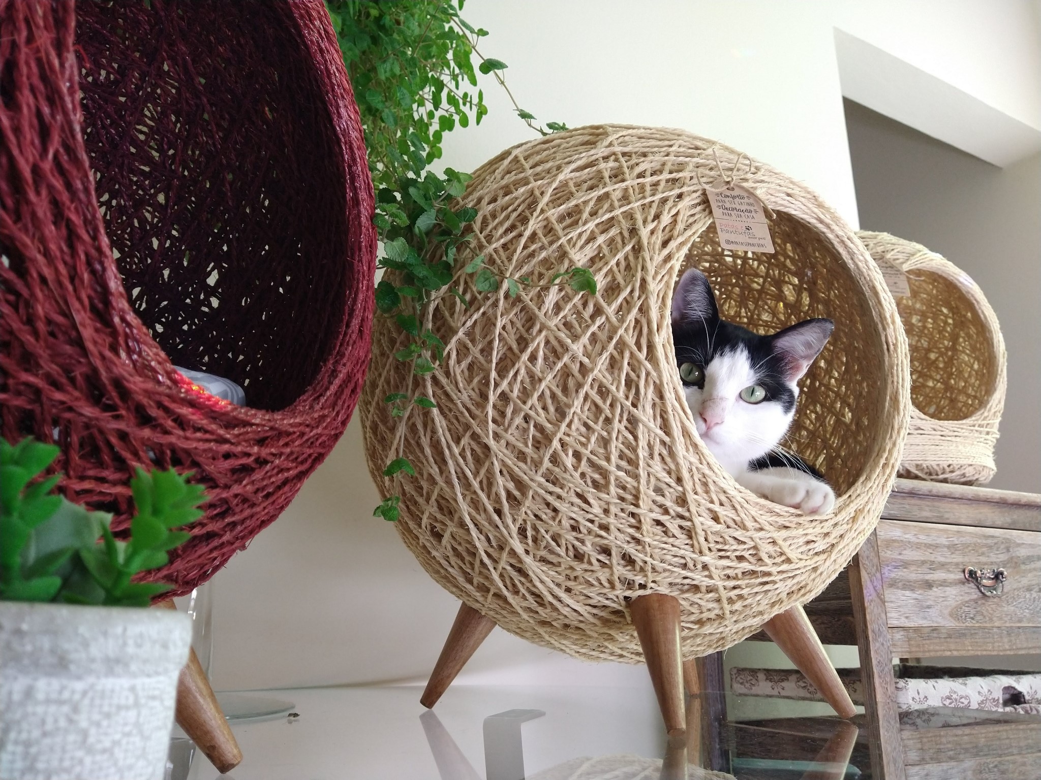 Gato dentro de uma toca Pezinho artesanal de sisal vermelha e natural