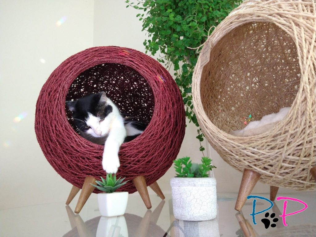 gato dentro de uma toca de sisal na cor vermelha