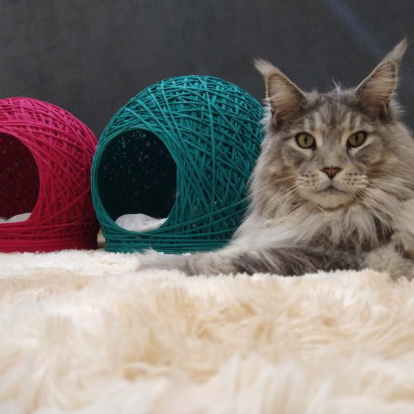 Tocas artesanais para gatos produzidas pela Patas e Pantufas.