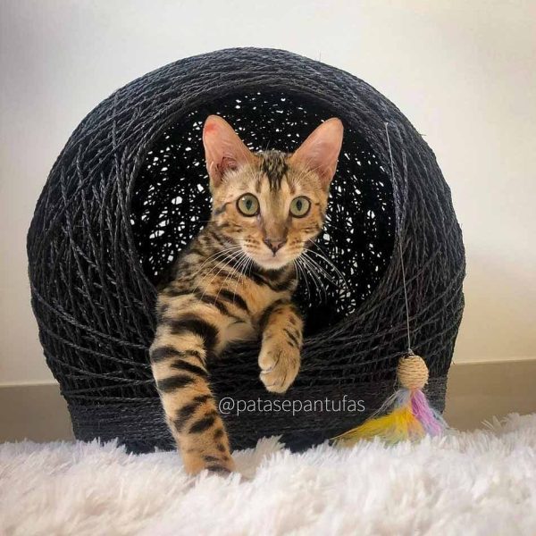 Toca artesanal para gato produzida pela Patas e Pantufas.